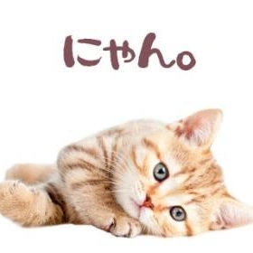 おはようございます👐