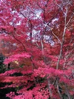 おはようございます😊