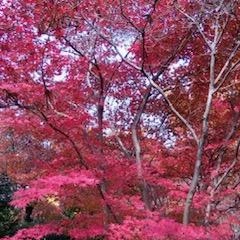 おはようございます😊