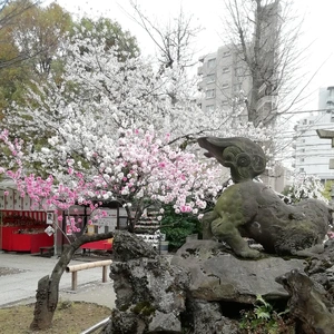 明日出勤です🎵