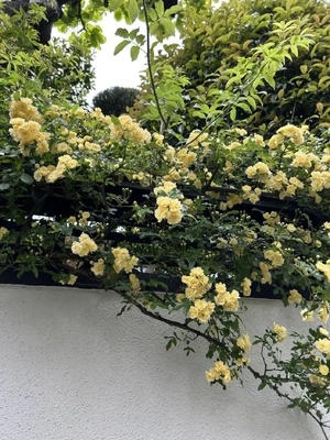 おはようございます😊