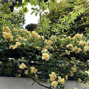 おはようございます😊