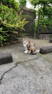 【ちなつ】携帯写真館