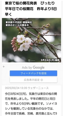 桜