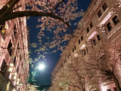 【ちなつ】携帯写真館