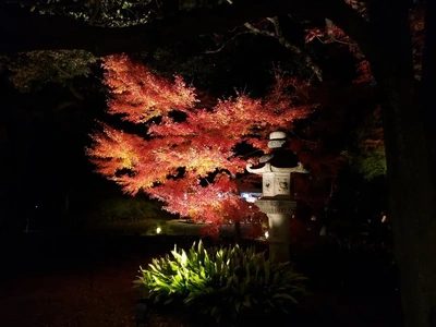 【ちなつ】携帯写真館