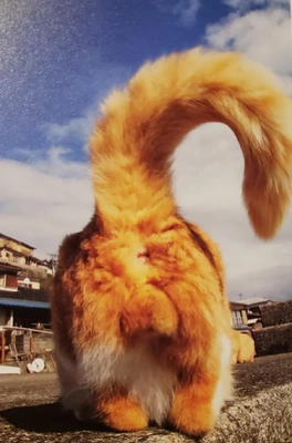 【ちなつ】です😄🐱☔