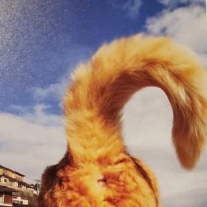 【ちなつ】です😄🐱☔