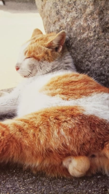 【ちなつ】です😄😺☁️