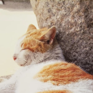 【ちなつ】です😄😺☁️