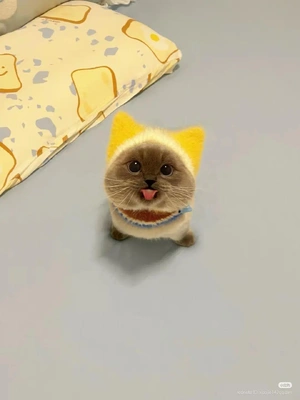 こんにちわ