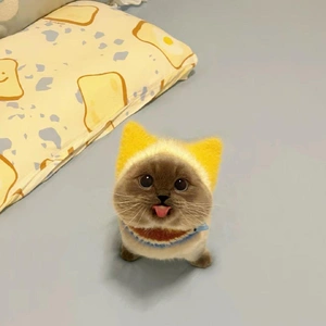 こんにちわ