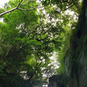 【ちなつお出掛け編】😄👣✨