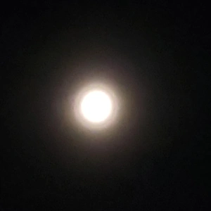✨🌕５月満月🌕✨フラワームーン🌕✨