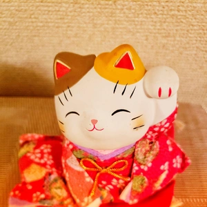 おっはニャンฅ•ﻌ•ฅ☀️✨