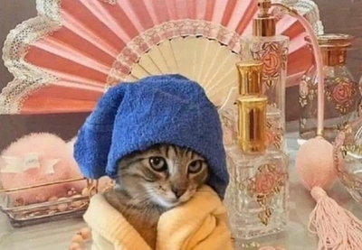おっはニャンฅ•ﻌ•ฅ☀️✨