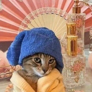 おっはニャンฅ•ﻌ•ฅ☀️✨