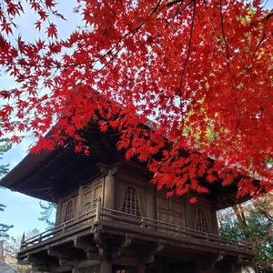 【ちなつ】携帯写真館