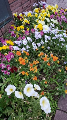 【ちなつ】です😄🌼✨