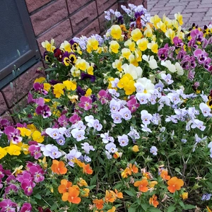【ちなつ】です😄🌼✨