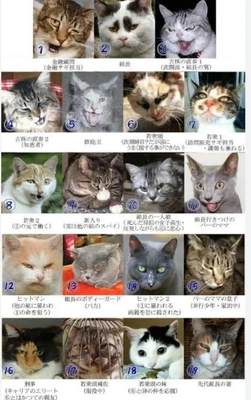【ちなつ】です😄🐱✨