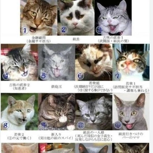 【ちなつ】です😄🐱✨