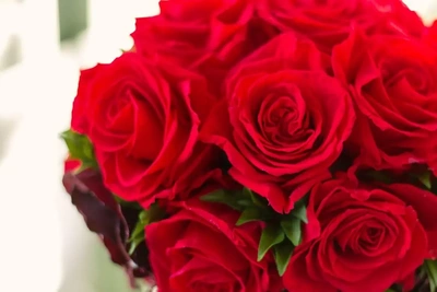 ✨🌹6月誕生花🌹✨薔薇🌹✨