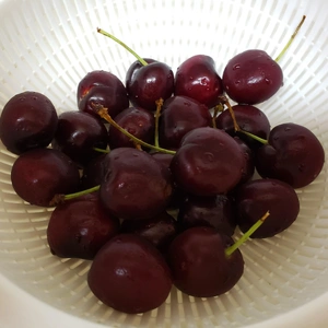 【ちなつフルーツ編】😄🍒✨