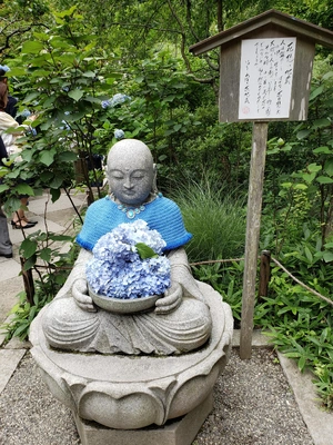 【ちなつ紫陽花編】😄🌼✨
