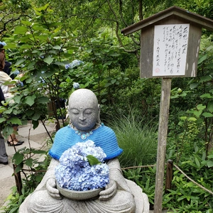 【ちなつ紫陽花編】😄🌼✨