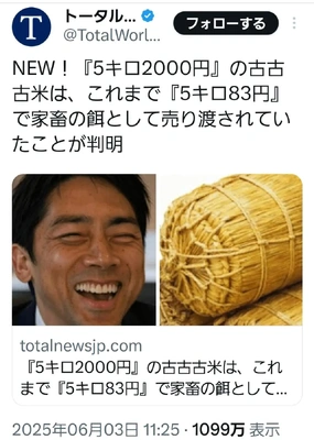 【ちなつ】です😄😺🌃