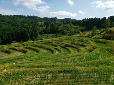 【ちなつ風景編】😄🌾✨