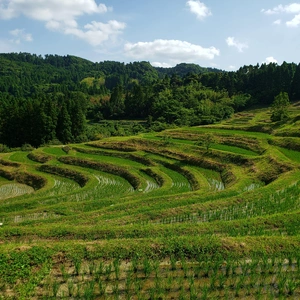 【ちなつ風景編】😄🌾✨