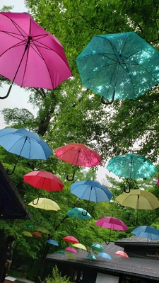 【ちなつ風景編】😄☔✨