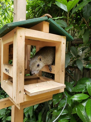 【ちなつ動物編】😄🐿️✨