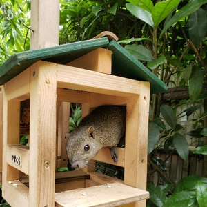 【ちなつ動物編】😄🐿️✨