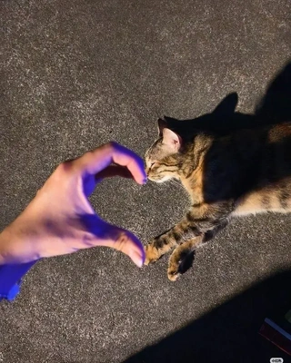【ちなつ】です😄😺☔