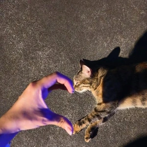 【ちなつ】です😄😺☔