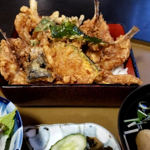 【ちなつ外食編】😄🐟✨