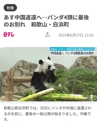 【ちなつ】です😢🐼💕