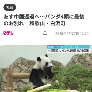 【ちなつ】です😢🐼💕