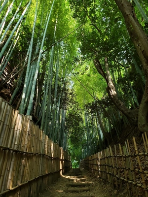 【ちなつ風景編】😄🌿✨