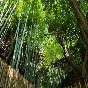 【ちなつ風景編】😄🌿✨