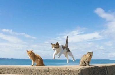 おっはニャンฅ•ﻌ•ฅ☁️