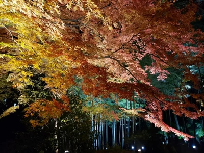 【ちなつ】携帯写真館