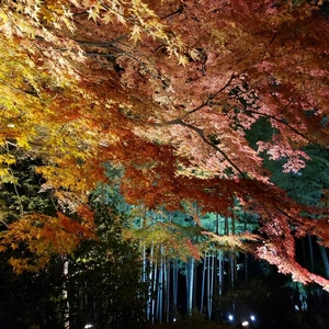 【ちなつ】携帯写真館