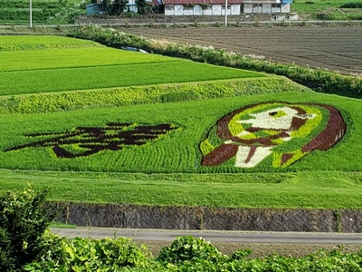 【ちなつ風景編】😄🌾✨
