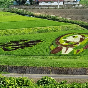 【ちなつ風景編】😄🌾✨