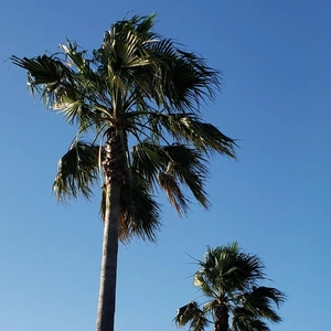 【ちなつ風景編】😄🌴✨