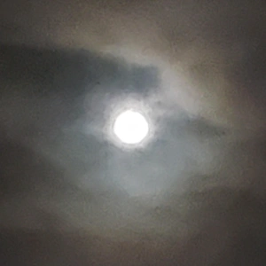 ✨🌕７月満月✨🌕バックムーン🌕✨